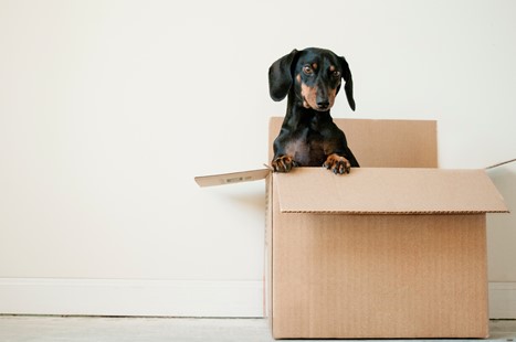Your Stress-Free Guide to Moving House
